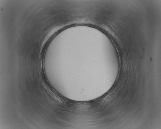 X0000065231270200603101545