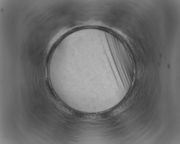X0000065231271200603101545
