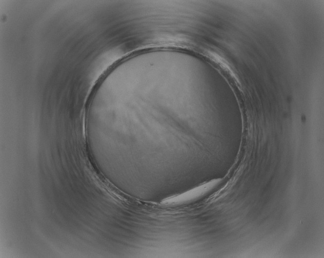 X0000065231275200603101545