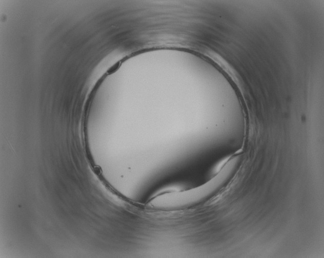 X0000065231293200603101545