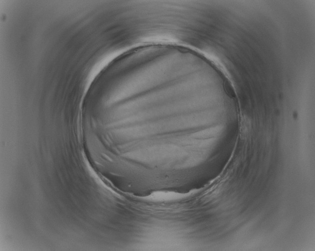 X0000065231295200603101545