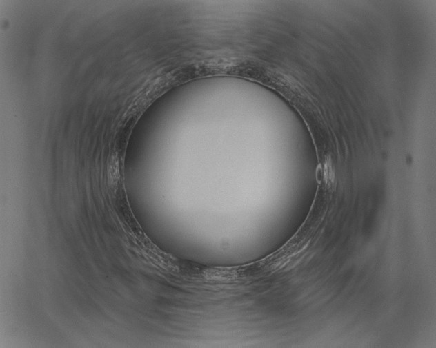 X0000065231299200603101544