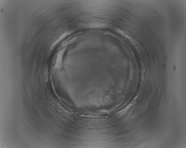 X0000065231306200603101544