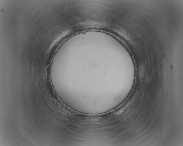 X0000065231309200603101544