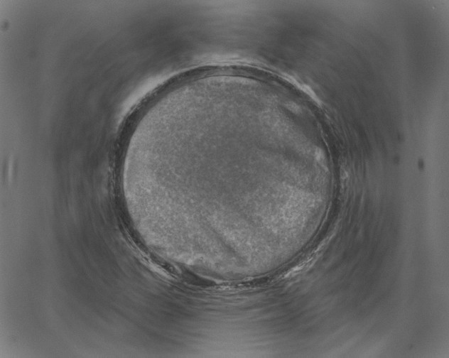 X0000065231311200603101544