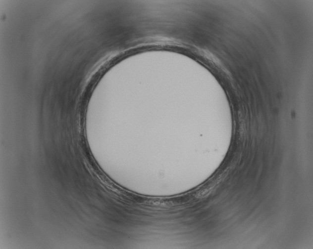 X0000065231318200603101544
