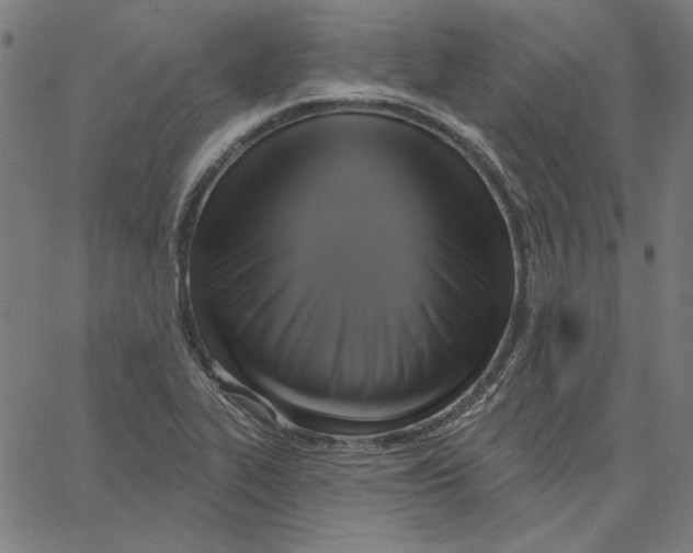 X0000065231319200603101544