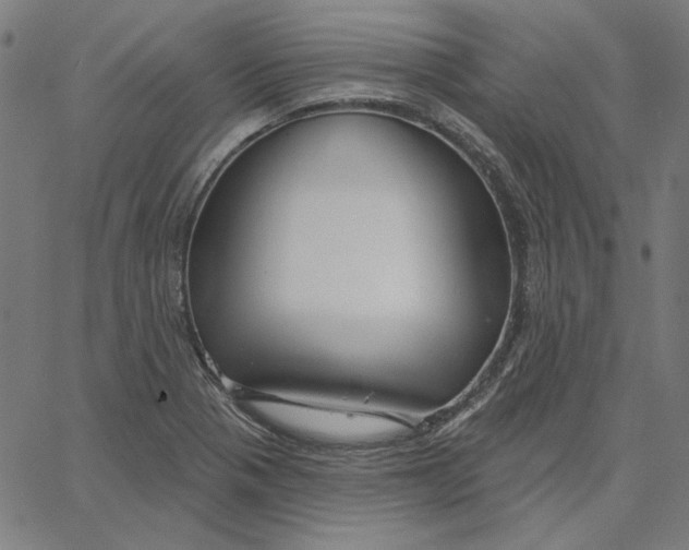 X0000065231321200603101544