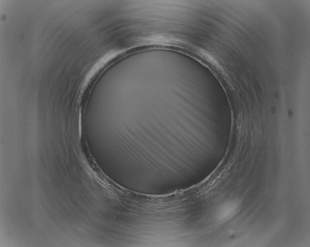 X0000065231323200603101544