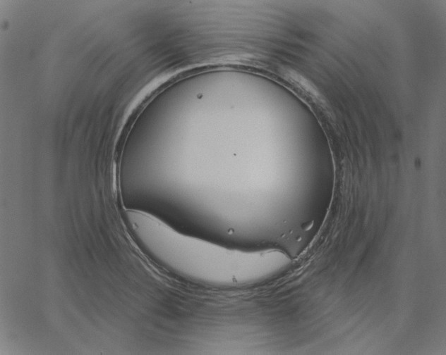 X0000065231324200603101544