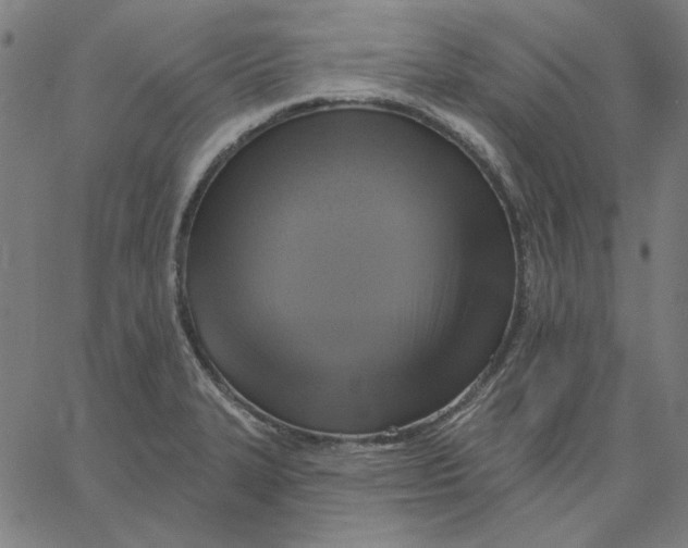 X0000065231327200603101545