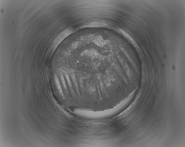 X0000065231329200603101545