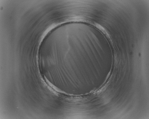 X0000065231334200603101545