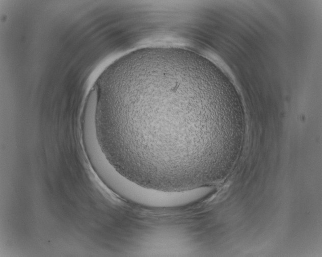 X0000065231344200603101545