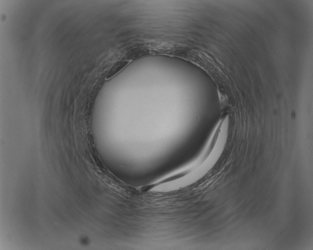 X0000065231345200603101544