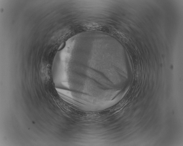 X0000065231346200603101544