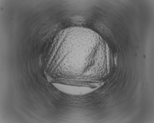 X0000065231347200603101544