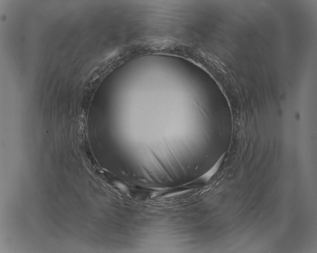 X0000065231349200603101544