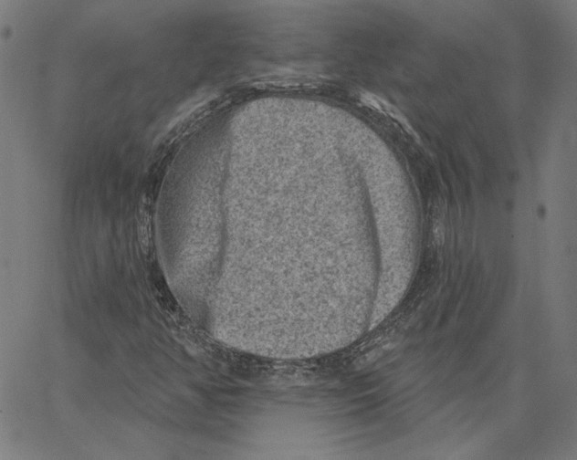 X0000065231350200603101544