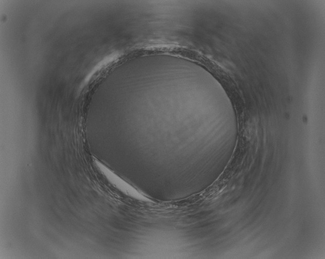 X0000065231351200603101544