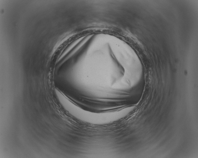 X0000065231352200603101544