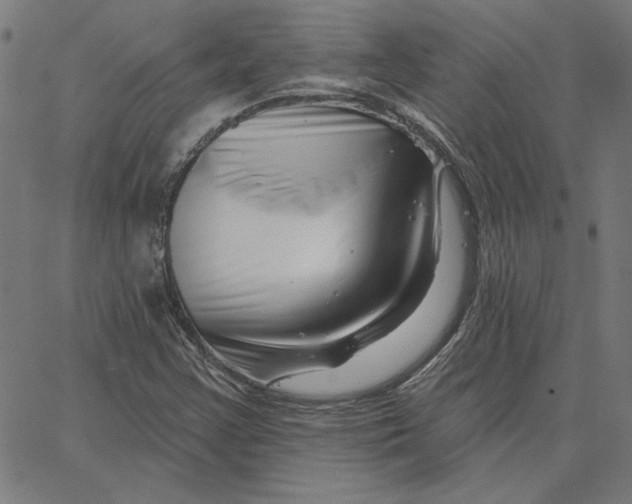 X0000065231355200603101544