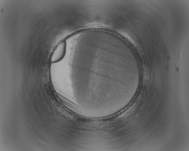 X0000065231358200603101544