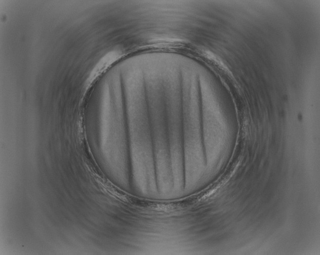 X0000065231362200603101544