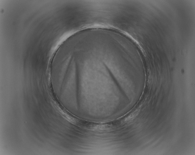 X0000065231367200603101544