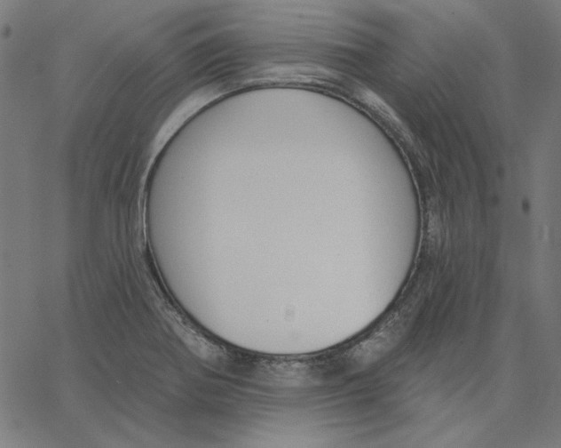X0000065231370200603101544