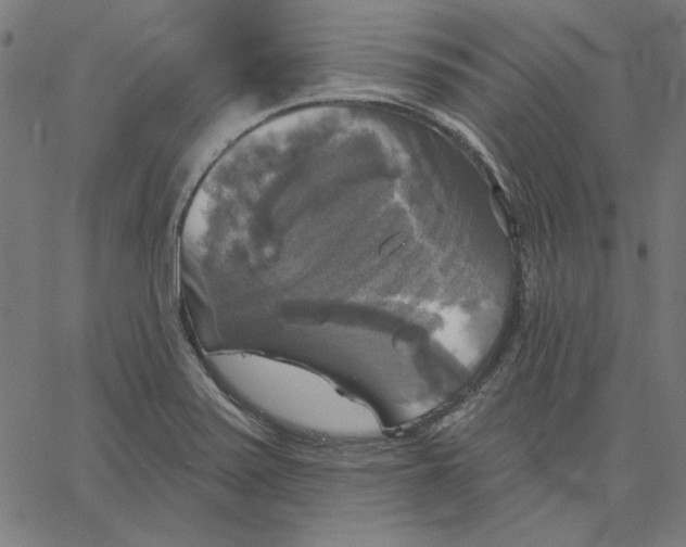 X0000065231371200603101544