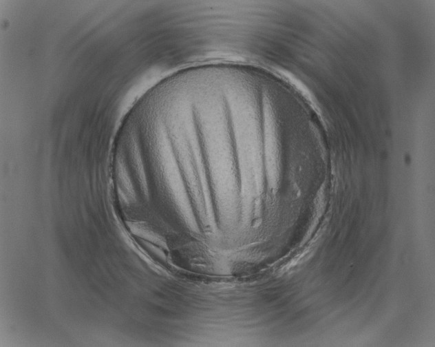 X0000065231373200603101544