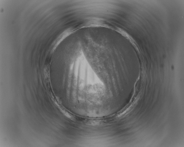 X0000065231385200603101543