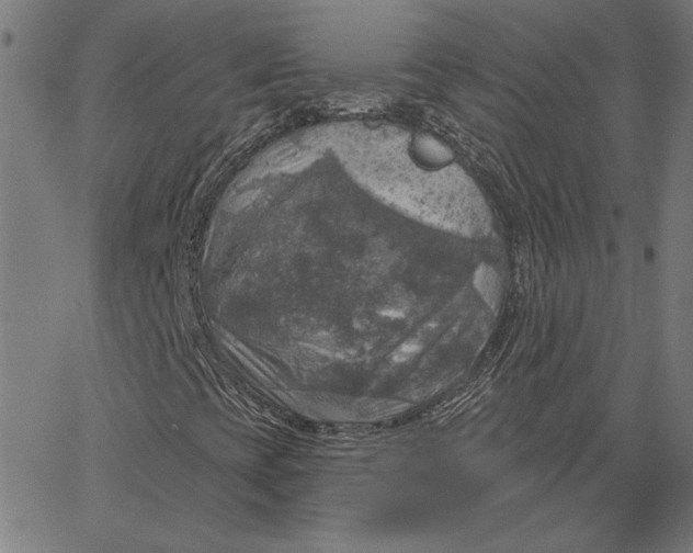 X0000065231393200603101543