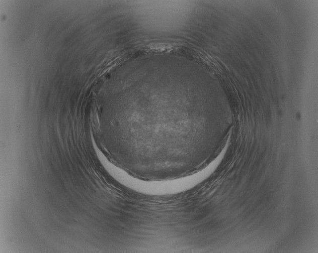 X0000065231394200603101543