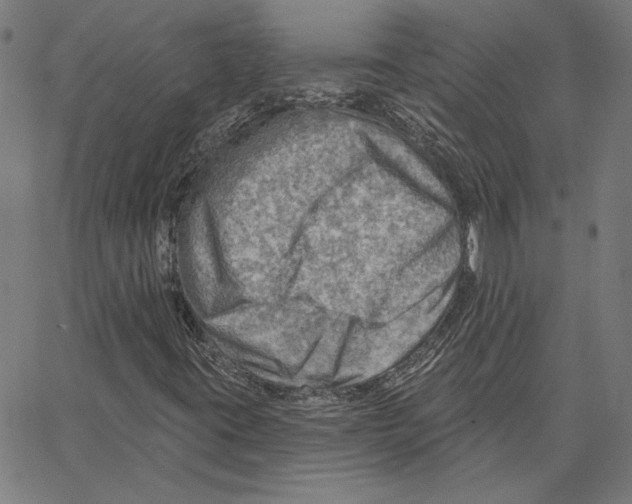 X0000065231395200603101543