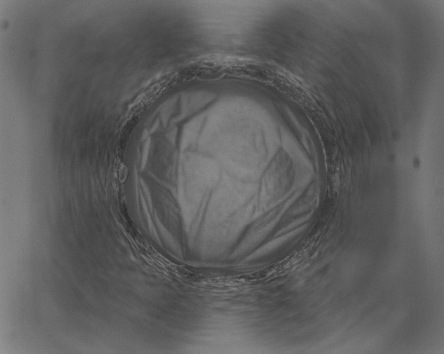 X0000065231397200603101543