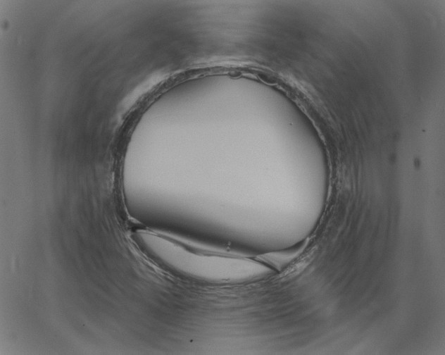 X0000065231406200603101543
