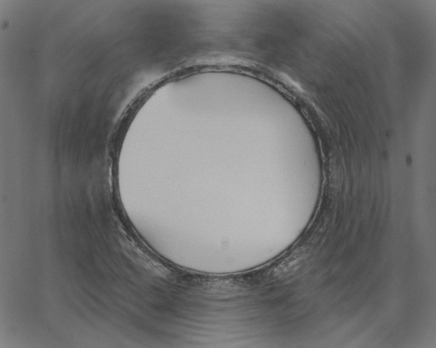 X0000065231408200603101543