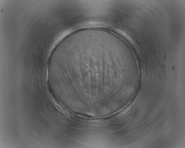 X0000065231413200603101543