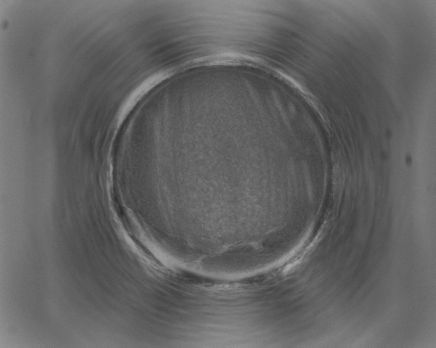 X0000065231418200603101543