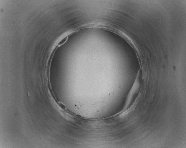 X0000065231434200603101543