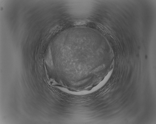 X0000065231441200603101542