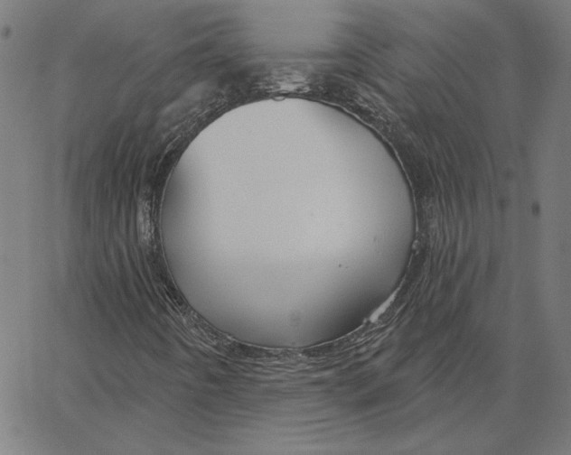 X0000065231442200603101542