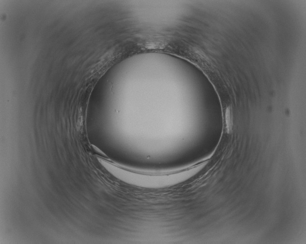 X0000065231443200603101542