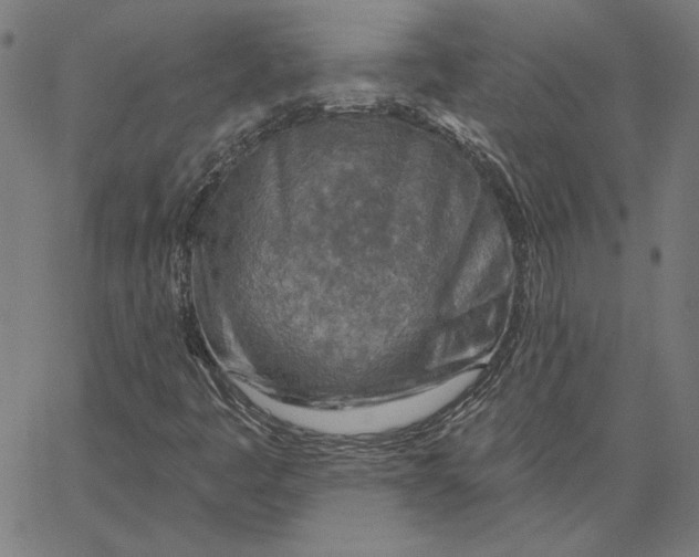 X0000065231445200603101542