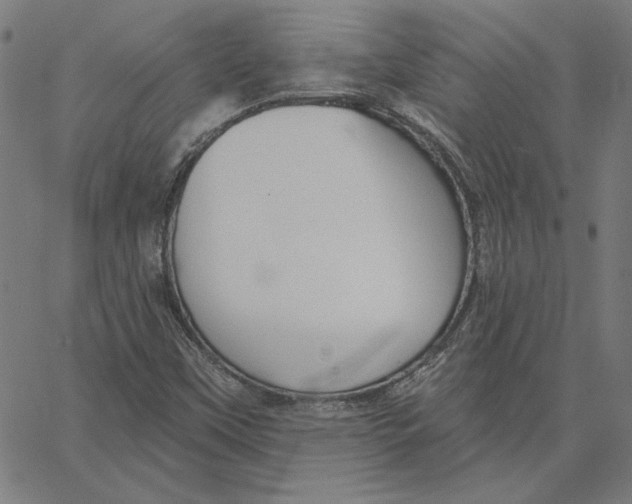 X0000065231451200603101542
