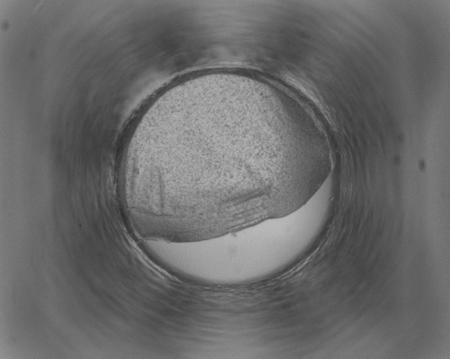 X0000065231452200603101542