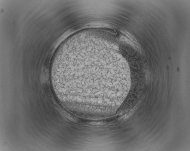 X0000065231465200603101542