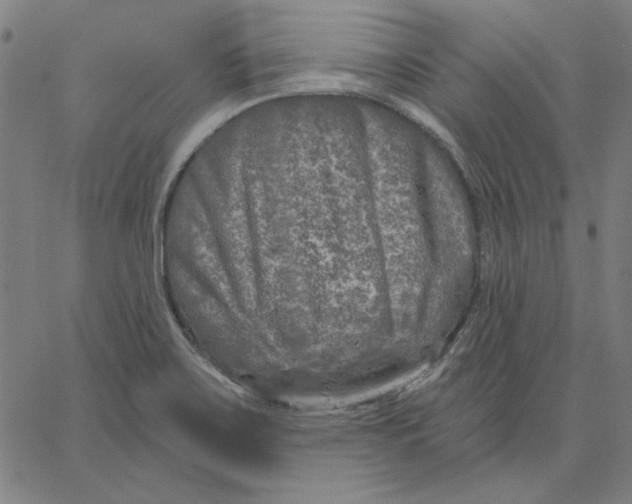 X0000065231467200603101542
